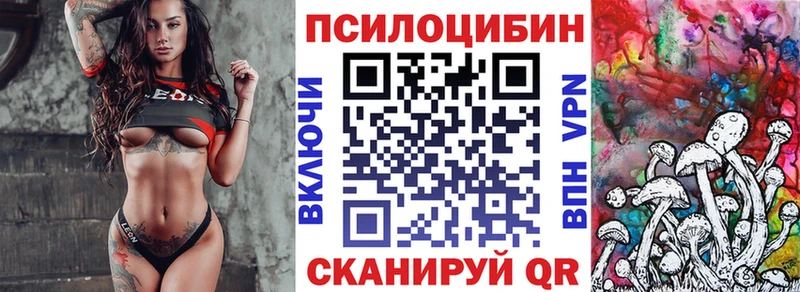 Галлюциногенные грибы Cubensis Горно-Алтайск